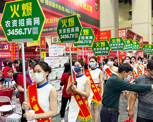 ȫ�W(w��ng)�ƏV������(zh��n)���̣����r(n��ng)�Y�W(w��ng)�W���ǈ�(ch��ng)��