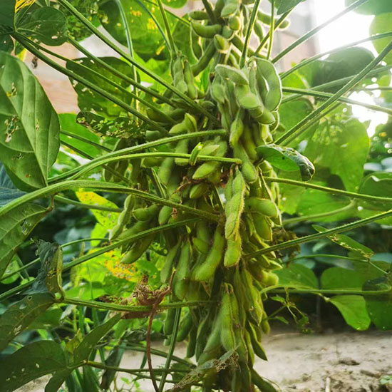 寰俊鍥劇墖_20241224141141.jpg 寰俊鍥劇墖_20241224141141.jpg