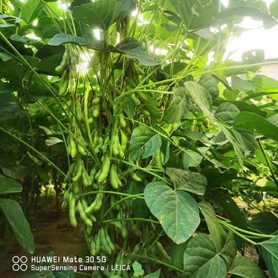 寰俊鍥劇墖_20241224141147.jpg 寰俊鍥劇墖_20241224141147.jpg