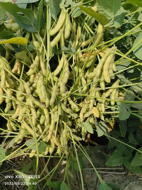 寰俊鍥劇墖_20241224141152.jpg 寰俊鍥劇墖_20241224141152.jpg