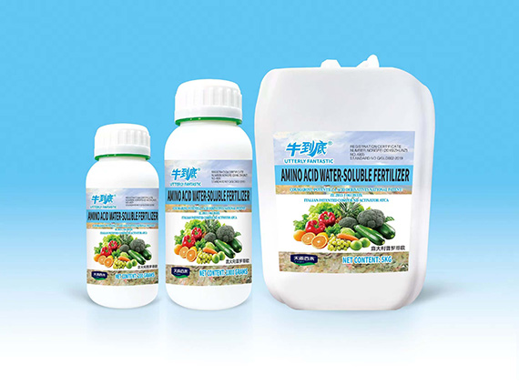 QQ鍥劇墖20260104104514.jpg QQ鍥劇墖20260104104514.jpg