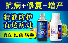 ���ϰ������ﱣ�o(h��)���޹�˾