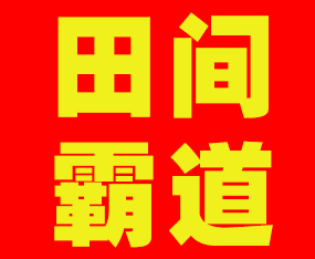 �������g�Ե����Q(m��o)���޹�˾