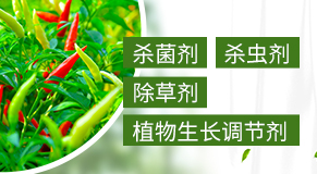 �L�����L�p�rˎ���޹�˾�����ְ��r�����rˎ���޹�˾��