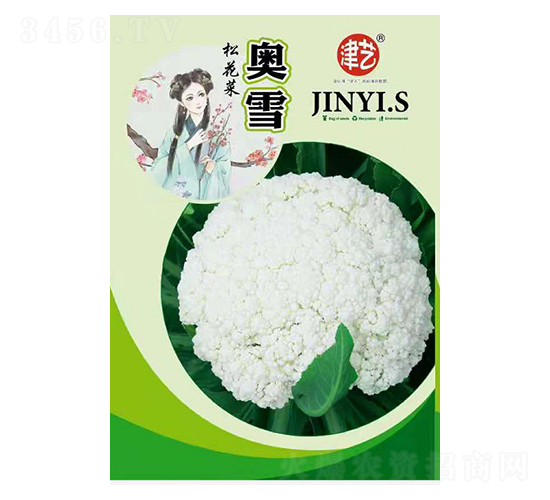 花菜種子-奧雪-邯豐農業