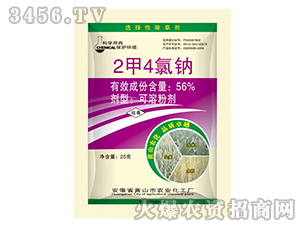 2��4���c�����݄���-�{���r�I