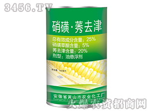 25%����ݬȥ��-�{���r�I