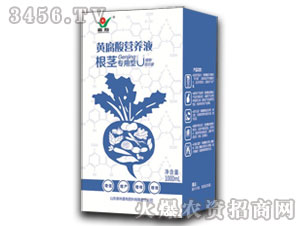 ���o�����S����I�BҺ-����