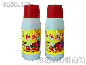 ����һ���t-���r���� 