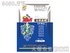 ֲ���{����-����-����