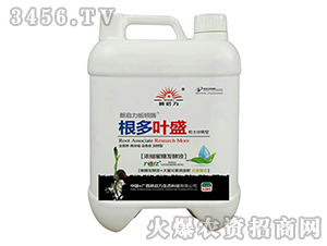 ��s���ǰl��Һ-�����~ʢ-����