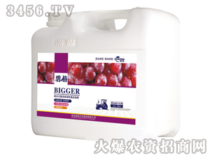 �������ӌ��ø߷��ӏͺ����ЙC����Һ�ʣ����b��-�̸�-�ɭ