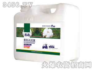 �޻����ø߷��ӏͺ����ЙC����Һ�ʣ����b��-�̸�-�ɭ