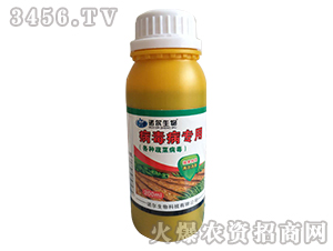 ����������-�Z������ 