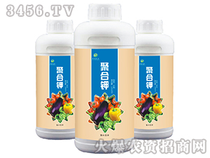 �ۺ��-��ɭ�r�� 