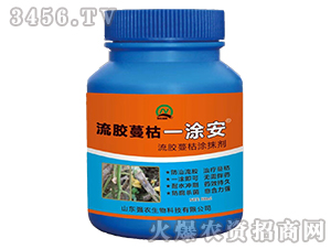 ���z����ͿĨ��-���z����һͿ��-���r����