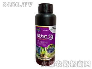 ���ѹ��������Dɫ��-ħ���t��-���r����