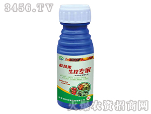 �ϲ˹����،���-���r����