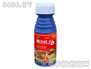 50mlħ���t��-���r����