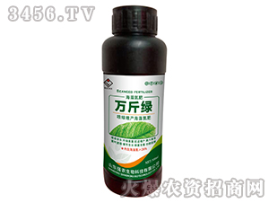 ���G���a���嵪��-�f��G-���r����