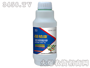 �������-��ֲ��-���r����