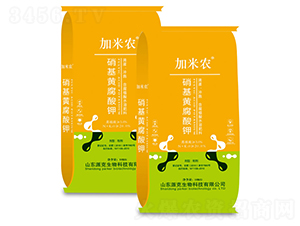 �����S�����-�����r 