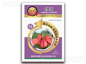 �t��������ó��݄�-���� 