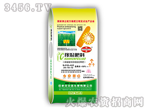 ��ֲ��Ϳ����Ч��ጷ�28-10-12-�м����� 