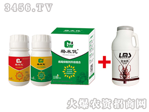 �������ί������M��-���׃�-�Ơ���˹ 