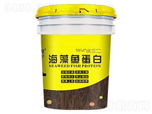 �����~����-����