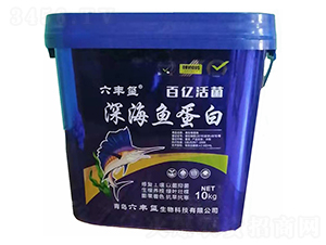 深海魚蛋白-六豐璽