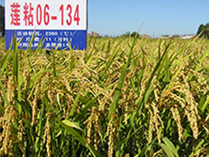 ɏճ06-134-ˮ���N��-ɏ�R�r(n��ng)�I(y��)