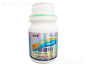 ̼ø��΢��-�Ї@̖-������ 