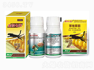 30%�����ͪ+24%���ס�ݬȥ��-������-���r��