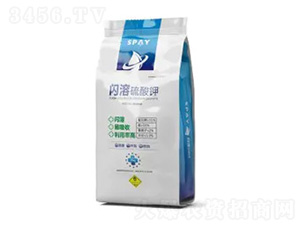 �W�������-ʩ������