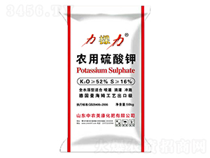 �r�������-������-���r����