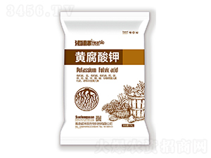 �S�����-����-�T�S�@