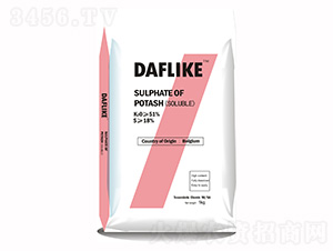 ���������-�¸��R��-�����r�I