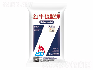 �tţ�����-�����r�I