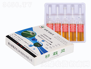 �����`-�����`�r�I