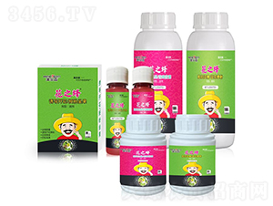 ��֮��-����ɭ