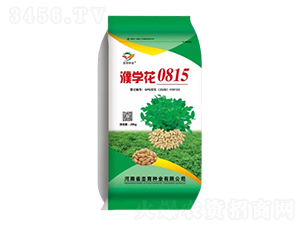 �����N��-姌W��0815-�h���N�I