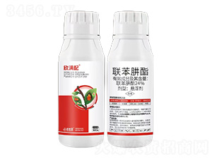 24%������-���M��-���ׁ�