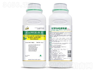 ��ѿ�ֻ��T����-��˹��