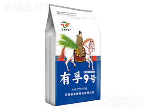 С���N��-����9̖-�h���N�I 