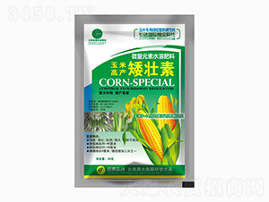 ���׸߮a������-�����r��