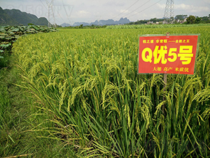 Q��5̖��ȫ�ܵ���-ˮ���N��-���r�Ƽ�