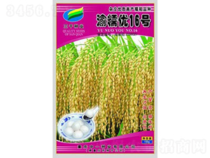 ��Ŵ��16̖-ˮ���N��-���r�Ƽ�