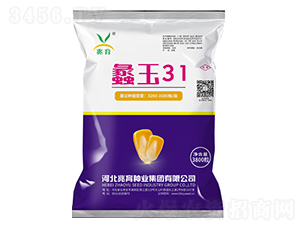 ���31-���׷N��-�����N�I(y��)