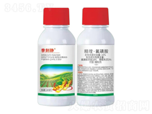 15%��ୡ����ǰ�-�����o-�Z�����r�I